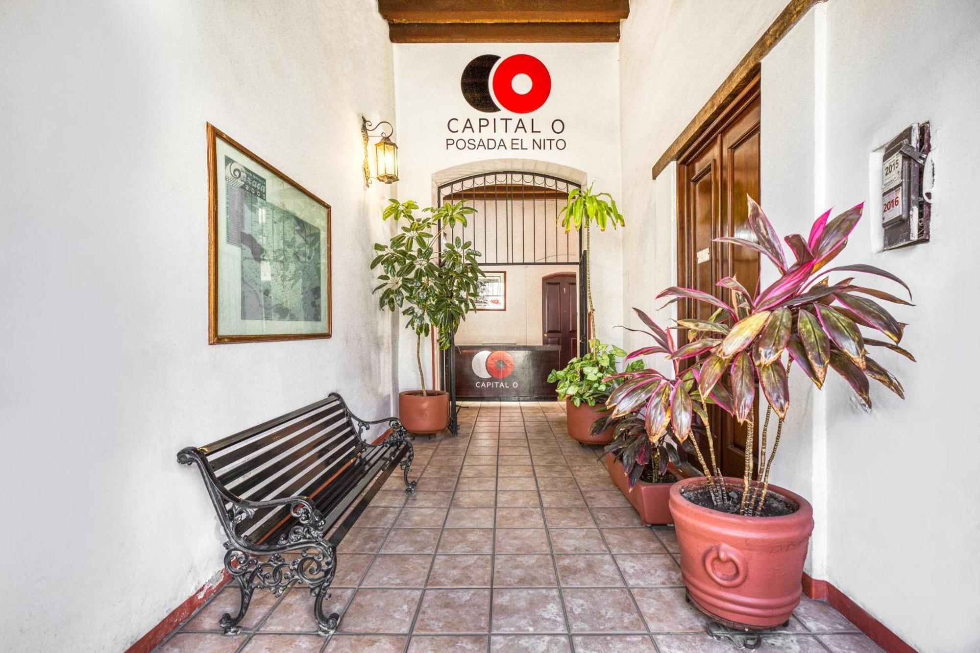 Oaxaca Capital O El Nito Posada מראה חיצוני תמונה